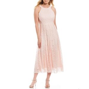 Eva Franco Jane Lace Midi Dress Blush Pink